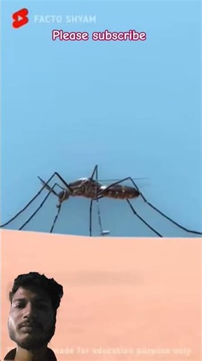 Fact 4 wait #facts #wait #trending #viral #shorts #shortvideo #shortsfeed #ytshorts #tech #fact #diy