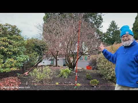 Vertically Polarized Delta Loop