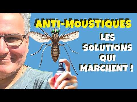 12 solutions (vraiment) efficaces contre les moustiques !