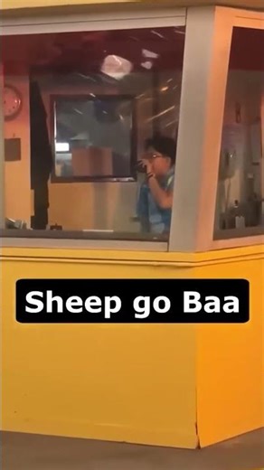 She's Fun to be With