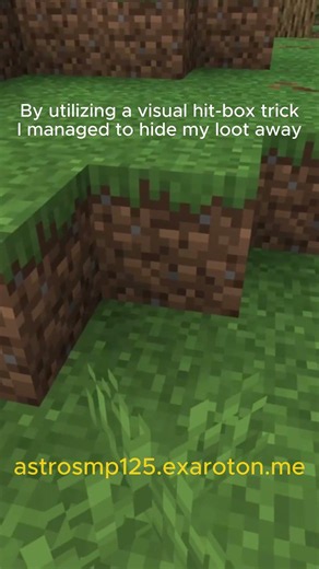 The ILLEGAL way to hide hearts on Lifesteal SMP 🤫 #minecraft
