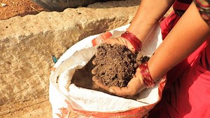 En Inde, la révolution du bio a commencé