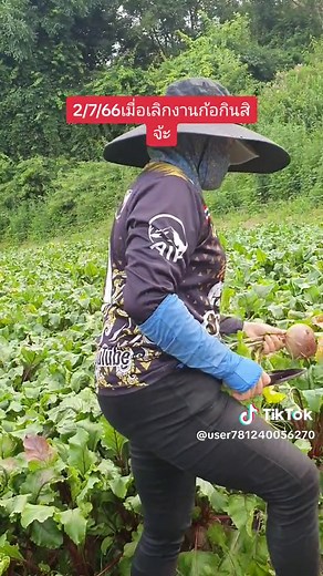 TikTok의 หลานย่าโม