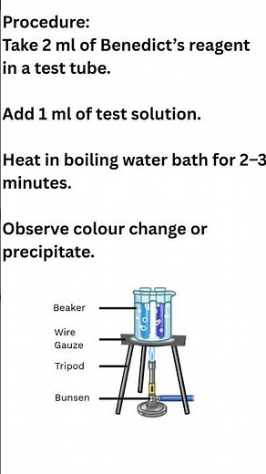 Benedict’s Test Explained in 60 Seconds 🧪 | Reducing Sugar Test & Colour Chart