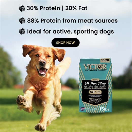 VICTOR Hi-Pro Plus delivers high-quality protein and essential nutrients to support healthy muscles and active lifestyles. Shop VICTOR at Tractor Supply Co. | VICTOR Super Premium Pet Food