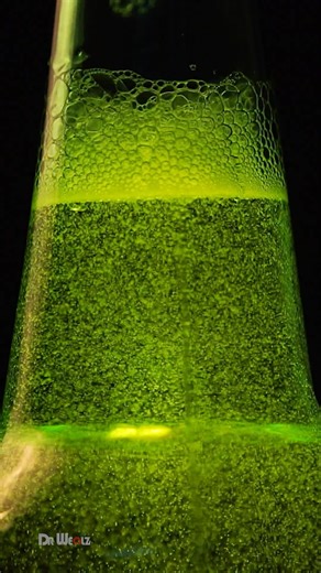 4 Most Painful Femur Shaft Fractures #BoneBreaks #WorstInjuries #PainLevel100 #OuchMoments #FractureFacts #fypchallenge #reelsfypシ #fypシ #UK #usa | The Living Experiment