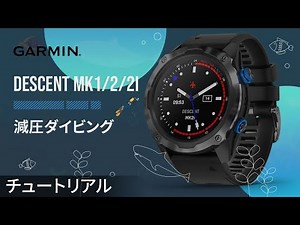 【チュートリアル】減圧ダイビング