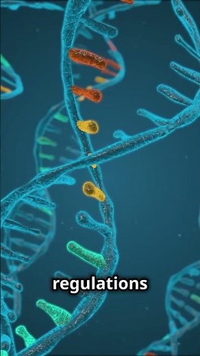 Ethical Frontiers: Navigating the Challenges of Gene Therapy and Germline Modifications #genetherapy