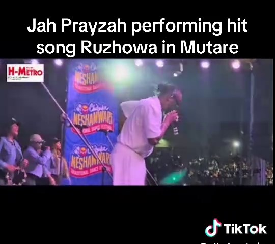 all about zim on TikTok