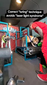 Proper "luring" technique builds excitement while avoiding frustration. "Laser light syndrome" is a type of OCD behavior that manifests in dogs and cats when improper luring is used. It basically is extreme frustration created by never being able to actually catch what they are chasing. A laser lure never allows them to physically catch what they are excited by, leading to obsession and extreme frustration. Avoid "laser light syndrome" by allowing them to catch the lure about every 30 seconds to