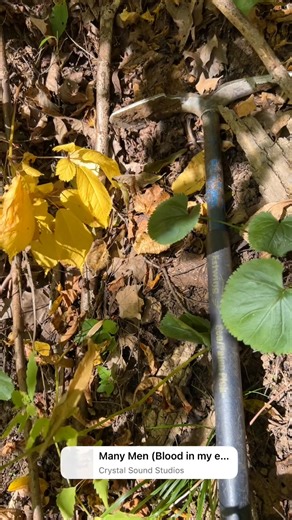 Dwayne Shively on Reels