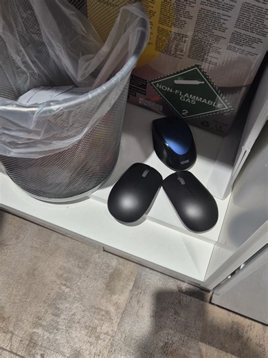 Creative Solutions for Your Mouse Problem