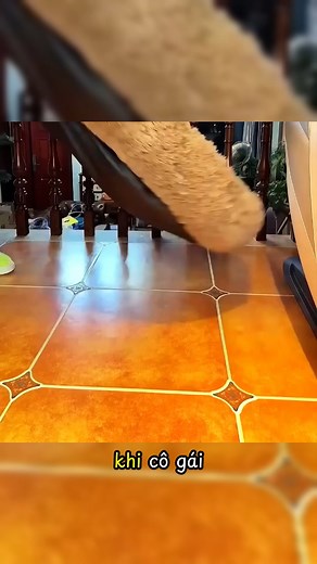 151K views · 1K reactions | Piggy House on Reels | Facebook