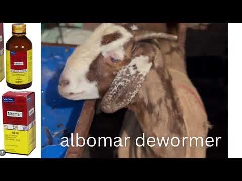 Bakriyon (goats) ki deworming ka matlab hota hai pet ke keede (worms) khatam karna,