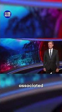 What are sovereign citizens and what threats do their beliefs pose? | 9 News Australia