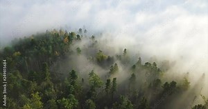 Breathtaking aerial view of the autumn woods covered with fog in the early morning. Sikhote-Alin Nature Reserve, a biosphere reserve in Russia for endangered Siberian tiger founded in 1935