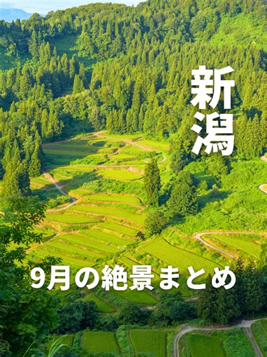 【新潟県】9月に行きたい！絶景スポットまとめ ①親不知レンガトンネル 時代を物語る赤レンガの隧道 📍〒949-0111 新潟県糸魚川市市振 親不知ICから車で約10分 ②親不知子不知 断崖絶壁が続く日本海の難所 📍〒949-0111 新潟県糸魚川市市振 親不知ICから車で約5分 ③星峠の棚田 美しい緑が広がる越後の棚田 📍〒942-1351 新潟県十日町市峠 まつだい駅から車で約20分 ④上越妙高駅 モダンなデザインの美しい駅 📍〒943-0861 新潟県上越市大和2丁目1 上越高田ICから車で約5分 ⑤慶地の棚田展望台 里山の原風景を見渡す展望台 📍〒949-8601 新潟県十日町市東下組 十日町駅から車で約20分 #新潟観光 #新潟旅行 #新潟ドライブ #新潟 #新潟県