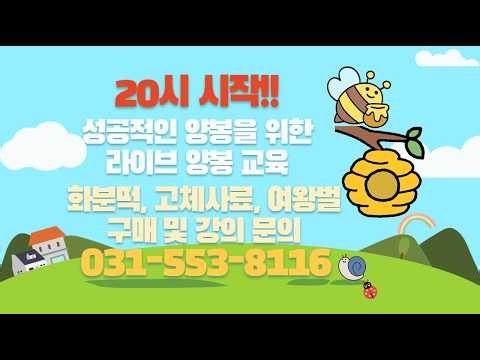 양봉교육 라이브: 월동벌을 받을 그릇은 이제 준비가 되어 있어야 합니다