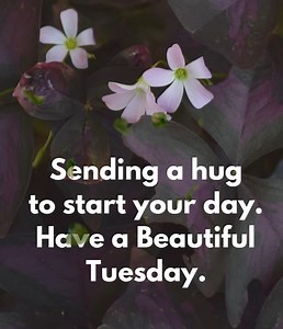 157K views · 3K reactions | Sending a hug.. | Inspire Your Beautiful Soul | Facebook