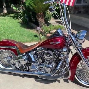 #chicno_society #cholo​ #fishtail​ #harleydavidson | Chicano Society