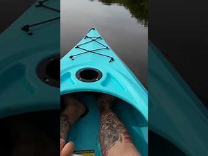 Sundolphin Phoenix 10.4 Review