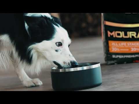 Ep 10 - Moura Dogmanship - How to teach a stock dog to do an outrun