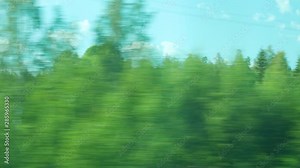 Travel with train in forest. Windows seat. Fast moving between trees. View from inside.