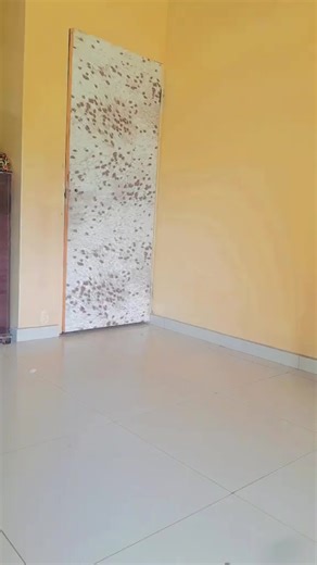 Mr Q (@mr.q5998)’s videos with original sound - Mr Q