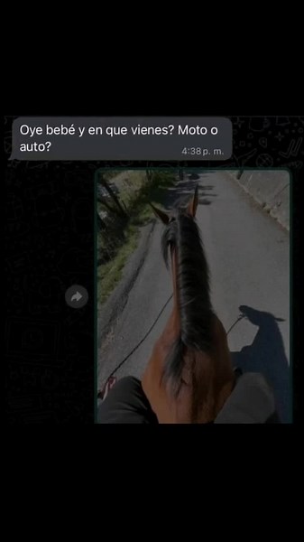 Momazos divertidos de Javier Escuella en RDR2