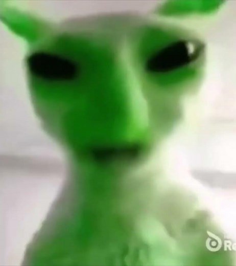 Alien cat is right