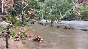 34K views · 387 reactions | Check out this footage of Ormiston Gorge from earlier this month! Park rangers are working rapidly to assess and repair damage caused by recent flooding across a popular tourist site, and it is hoped some sections can be reopened very soon. Full story: bit.ly/3JNjli4 | The NT News | Facebook