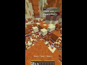 Minecraft Stream