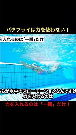 [Relaxed Butterfly] Apply force for just a moment! How to swim butterfly #swimming #shorts