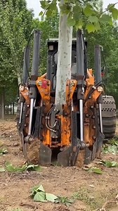 1.2K views | Amazing video | Slim Busterr | Facebook