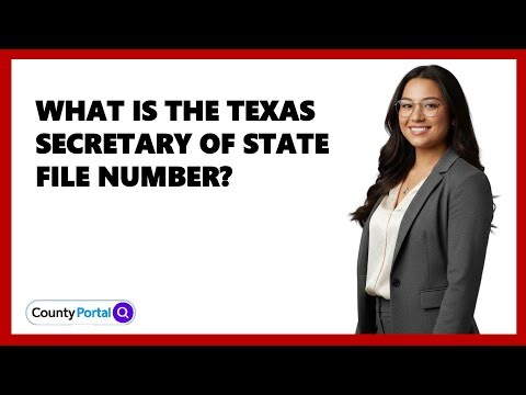 What Is The Texas Secretary Of State File Number?