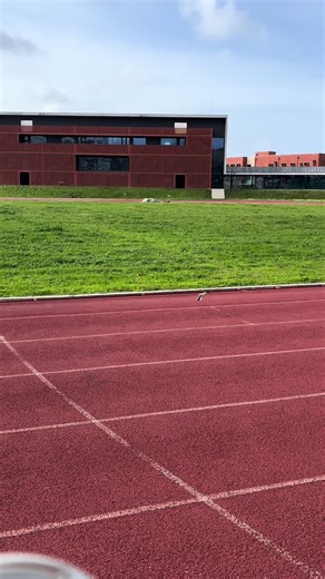 Track Bird. #track #bird #animals #nature #fly