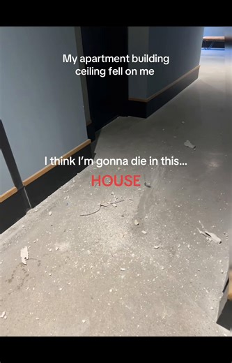 First a fire and now this. #livelaughlove #fyp #apartment | house