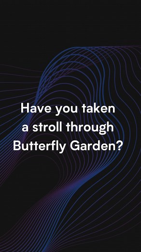 13 reactions | Have you taken a stroll through Butterfly Garden yet?...