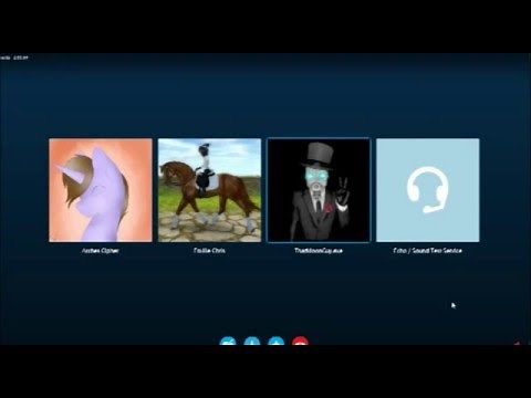 Echo/Sound Test Service - Skype Call