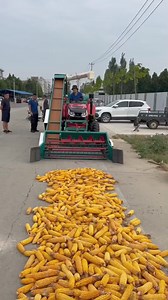 Japan's Advanced Corn Harvesting Technology: Making Farming Easier #AgriculturalInnovation #CornHarvesting #FarmingTechnology #JapanTech | Fact Pulse