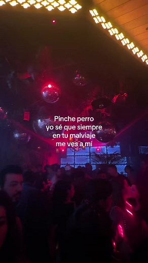 aunque diga que no | perrito