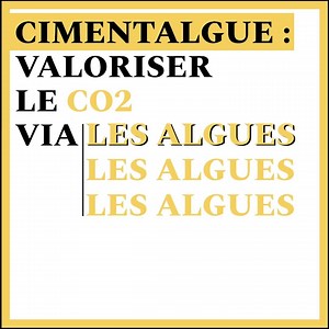 9.9K views · 37 reactions | Imaginez des micro-organismes capables de...