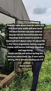 22 reactions | Want to succeed in snail farming? WhatsApp 08078630043 #farmstory #farminglife #farmersoftiktok #agriculture #ngsnails | NG Snails | Facebook
