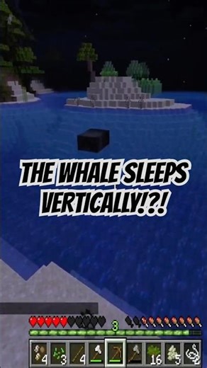 Did you know whales sleep vertically? #minecraft #whales #sciencefacts
