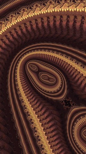 #mandelbrot #fractal #zoom #trippy #acid