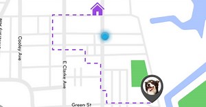Get notified in minutes if your dog leaves your home or yard and see their movements in real-time. Nuzzle's no-fee GPS collar can make all the difference when finding a lost pet. | Nuzzle