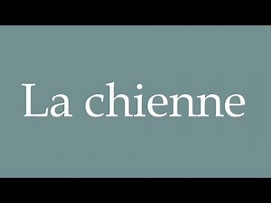How to Pronounce ''La chienne'' (Dog) Correctly in French