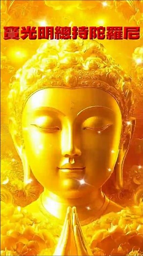 寶光明總持陀羅尼，諸根無病，壽命延長，體現菩提心的生成與圓滿法界無性、菩提無相精義的總持咒，與華嚴經十住品相通，出自大方廣總持寶光明經|#佛教#密宗#十住品#菩薩修行#shorts