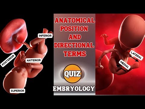 Embryology's Directional Terms QUIZ (Advanced Anatomy)