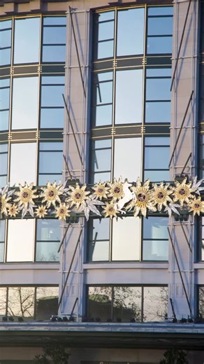 Cheval Blanc on Instagram: "Your Secret Cocoon Rising above the City of Light, architecture becomes emotion, as our rooms and suites reveal a serene retreat suspended between creativity and silence. #ChevalBlancParis #ChevalBlanc #Paris"